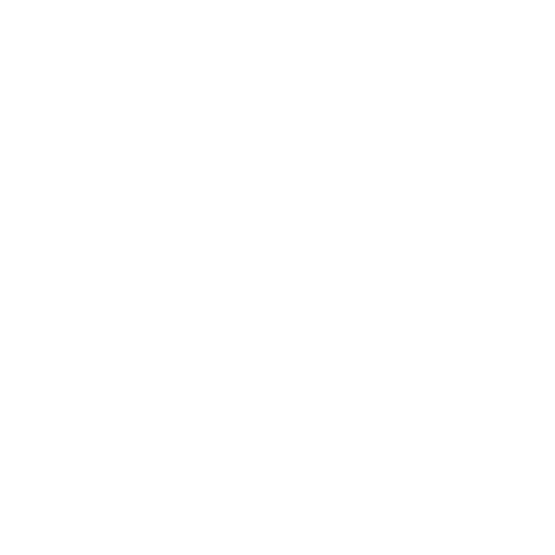 DR_AI_LOGO_WEBSITE-WHITE